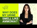 Why Does My Urine Smell Like Ammonia