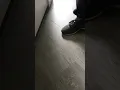 This is what happens when you don t leave expansion gap for flooring