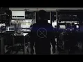 Quantum Computational Advantage with Borealis