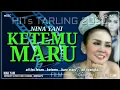 Download Lagu KETEMU MARU ,NINA YANI [LIRIK ] ( LAGU TERBARU 2020)