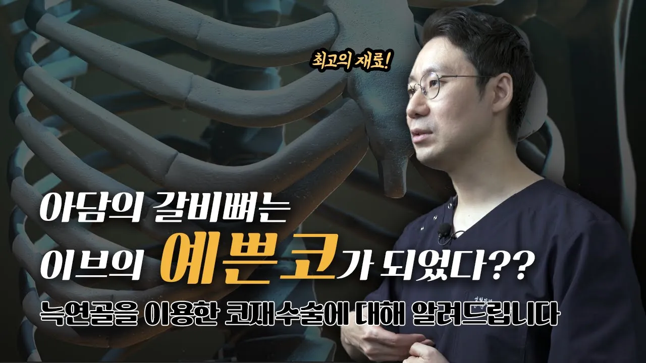 높은 코를 만드는 최고의 재료 -자가늑연골-에 대해 알려 드립니다
