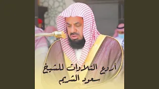 وقال الذين كفروا لرسلهم صوت بصوت   دندنها