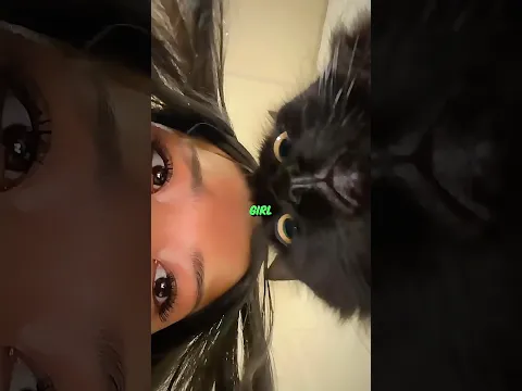 She Played This Game With Her Cat 🐈‍⬛👍