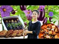 Download Lagu Harvesting Giant Eggplants, Cooking Pork and Eggplant,Hometown Folk Dishes | Nguyễn Lâm Anh