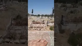 مقبرة مخيفة 