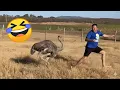 Download Lagu TRY NOT TO LAUGH 🤣 The Ultimate Funny Videos Challenge 😂 Memes \u0026 Fails Compilation PART 3