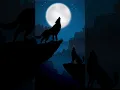 Lagu Wolves howling at the moon 🌕 #wolf #shorts