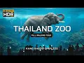 🇹🇭 4K HDR | Amazing zoo in Thailand 2025 | Khao Kheow Open Zoo | Full Walking Tour