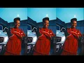 Al Xapo, Shallipopi, Benzoo & Eeque - SNOKONOKO II (Official Visualizer)