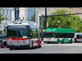 WMATA Metrobus Compilation at Pentagon City
