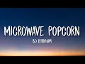 Download Lagu Bo Burnham - Microwave Popcorn (Lyrics) \