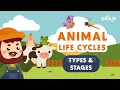 Animal Life Cycle Types and Stages Primary School Science Animation