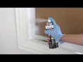 Got Mold How to treat Mold with Zinsser Mold Blocking Primer Spray