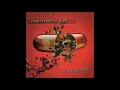 Download Lagu Painkiller - Brainwash 2007 (Full Album)