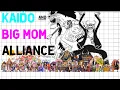 Big Mom Pirates and Beasts Pirates Alliance One Piece