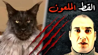 جني يتلبس قطة سوداء يدخل مطبخ بيتنا وكانت حياتي هتنتهي بسببه قصه رعب حقيقيه Osha Salah قصص 