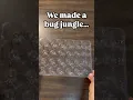 DIY Bug Jungle for Kids Easy Recycled Craft Using Egg Cartons Paper