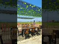 Download Lagu Resto Sunda Pinggir Sawah #shorts #kulinersunda #kulinerbandung #restoran #bandung #masakansunda