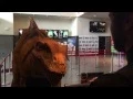 Dinky Goes to the Movies