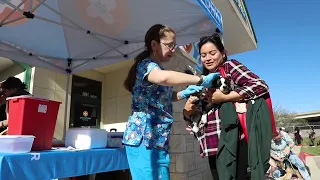 Vaccinated and Loved 2023 National Pet Vaccination Month Petco Love
