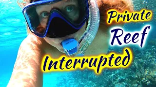 SDA151 Private Reef Interrupted!