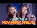Download Lagu NDANGIR WELAS ~ Dini Kurnia   |   Banyuwangi Song - Panjak Osing