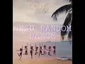 SNSD / GIRLS' GENERATION RANDOM DANCE CHALLENGE