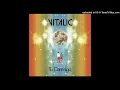 vitalic -  Tu Conmigo (feat. La Bien Querida)