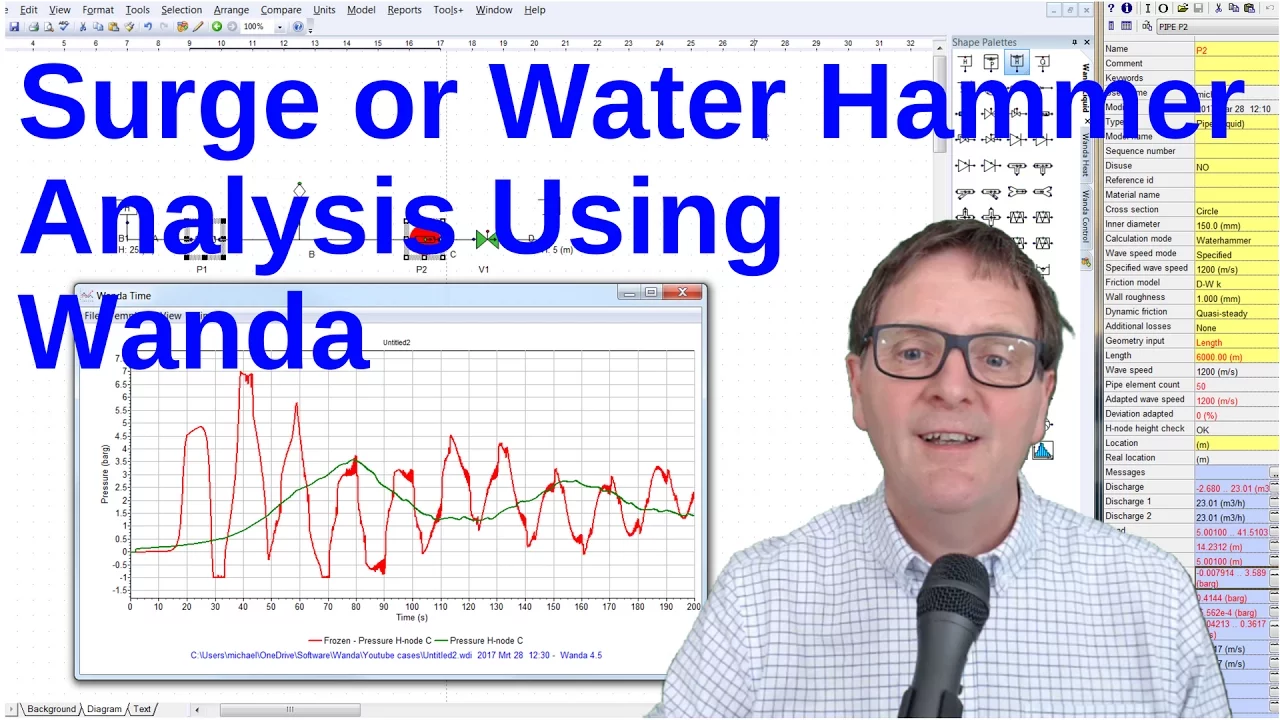 Hydraulic modelling using Wanda