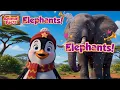 Animal Facts for Kids - Elephants! 🐘 | Learn About Elephants with Pip