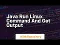 java run linux command and get output