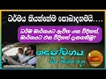 Download Lagu ධර්ම මාර්ගයේ ගමන් කරන විදිහත් මාර්ගයට එන විදිහත් දැනගනිමු#Thapowanaya සිත නිවෙන තැන 🚗