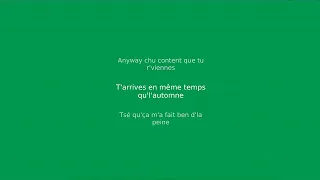 LES COWBOYS FRINGANTS Toune D Automne Vidéo Avec Paroles 