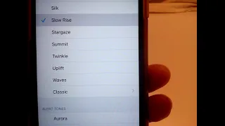                     دندنها