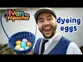 Ivan Inspects Dyeing Eggs Fun and Educational s For Kids