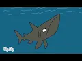 basking shark the bloop