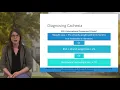 Why so skinny Understanding cancer cachexia