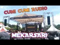 Lagu SINARENGAN _ LUSIYANA JELITA _ ADELLA _ MEKARSARI #adella #mekarsari 