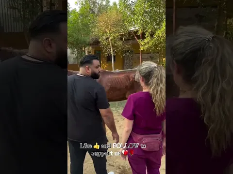 Ali rescues the emaciated, skeletal horse #help #horse