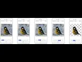 Fast Image Segmentation on Mobile Phone Using Multi-level Graph Cut