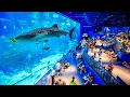 Top 5 Best Aquariums in The World World s Largest Aquarium