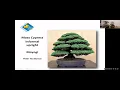 The Art of Bonsai with Napa County UC Master Gardeners