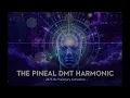 The Pineal DMT Harmonic | 2675 Hz Spontaneous Visionary Activation (4 Hours)