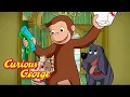 George's Animal Band! 🐵 Full Episodes | Curious George