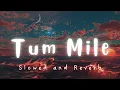 Download Lagu Tum Mile - Slowed and Reverb (Lofi Song) | Nitin Maurya l