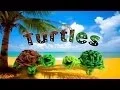 Rainbow Loom New 3D the Turtle - How to