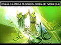 Download Lagu Wilayat Amiir by Ally Haidar FT Anuwari Ally with Al Batul Kids