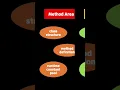 Java Runtime Data Areas