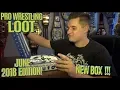 NEW PRO WRESTLING LOOT BOX JUNE 2018 EDITION