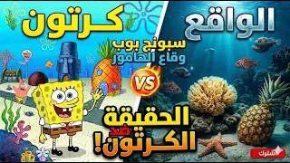 سبونج بوب وقاع الهامور بيولوجيا  أحياء  دندنها